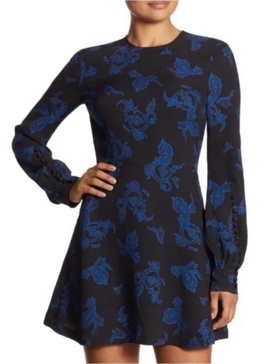 A.L.C. Dresses & Skirts - A.L.C. Black Long-Sleeve Fit & Flare Dress with Blue Paisley 100% silk